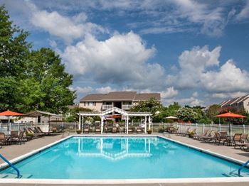 Sparkling swimming pool